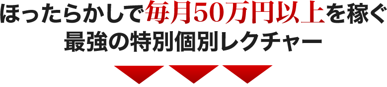 ほったらかしで毎月５０万円以上を稼ぐ最強の特別個別レクチャー